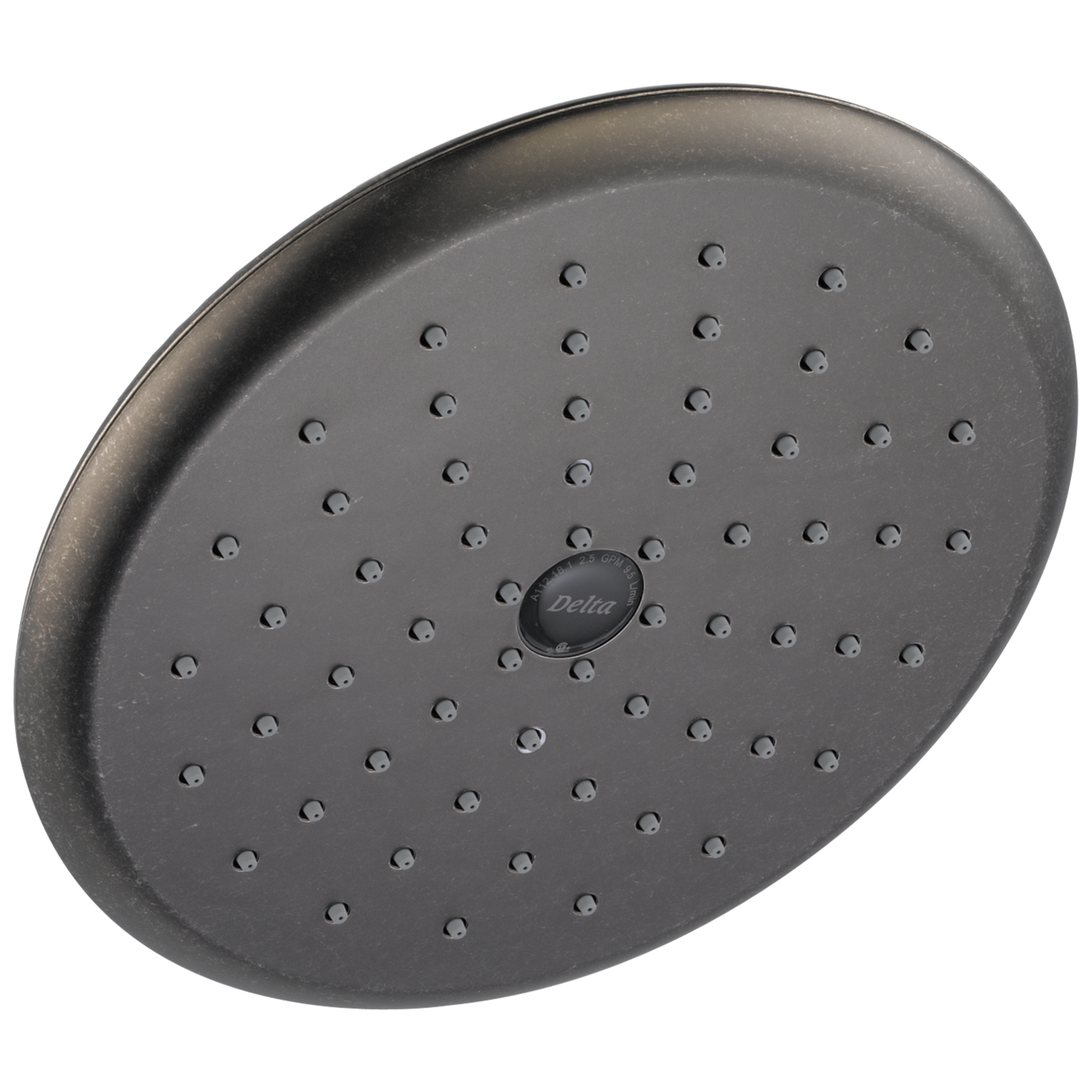Raincan Single-Setting Shower Head in Aged Pewter RP52382PT