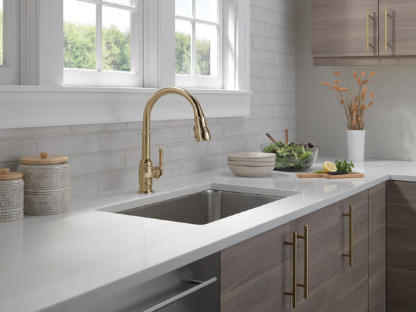 Single Handle Pull-Down Kitchen Faucet in Champagne Bronze ...