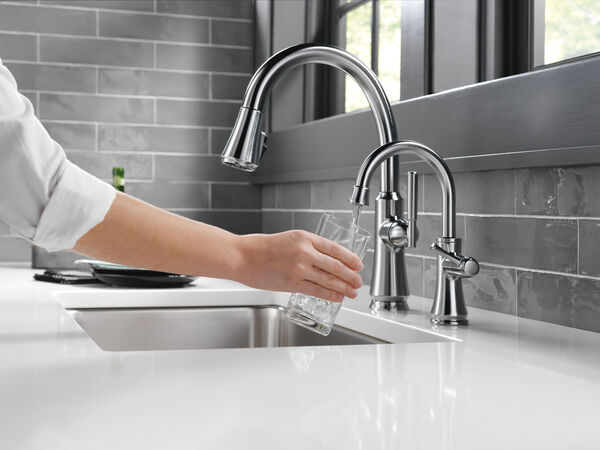 Transitional Beverage Faucet