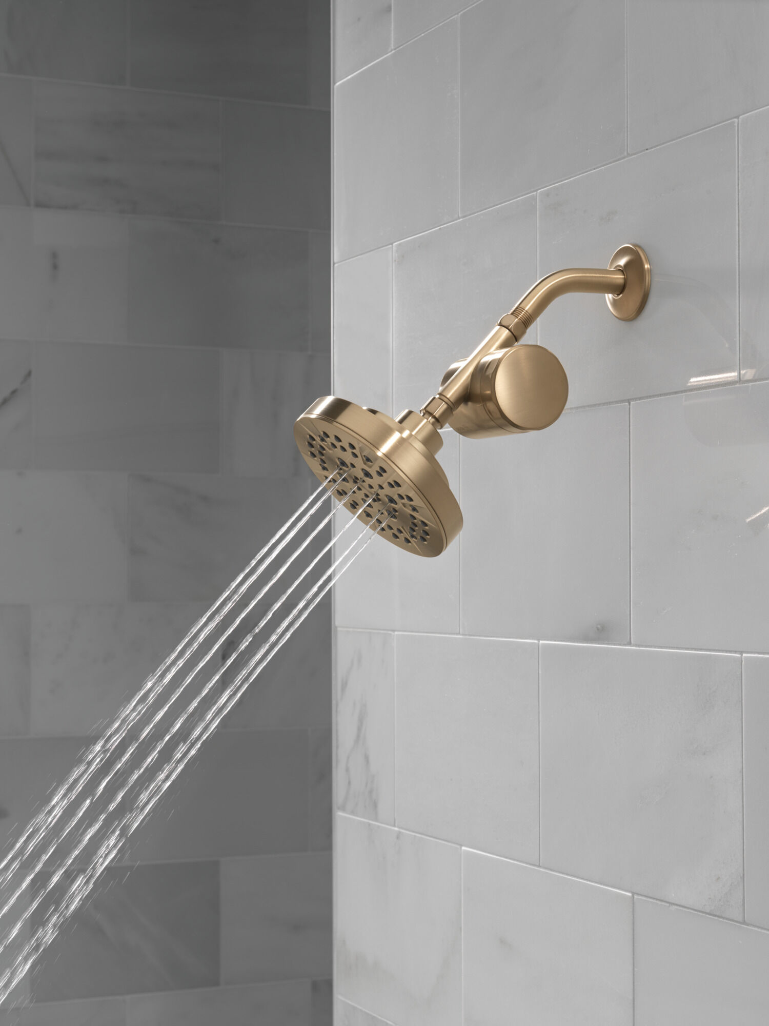 Standard Shower Filter Attachment in Champagne Bronze 7SF100-CZ
