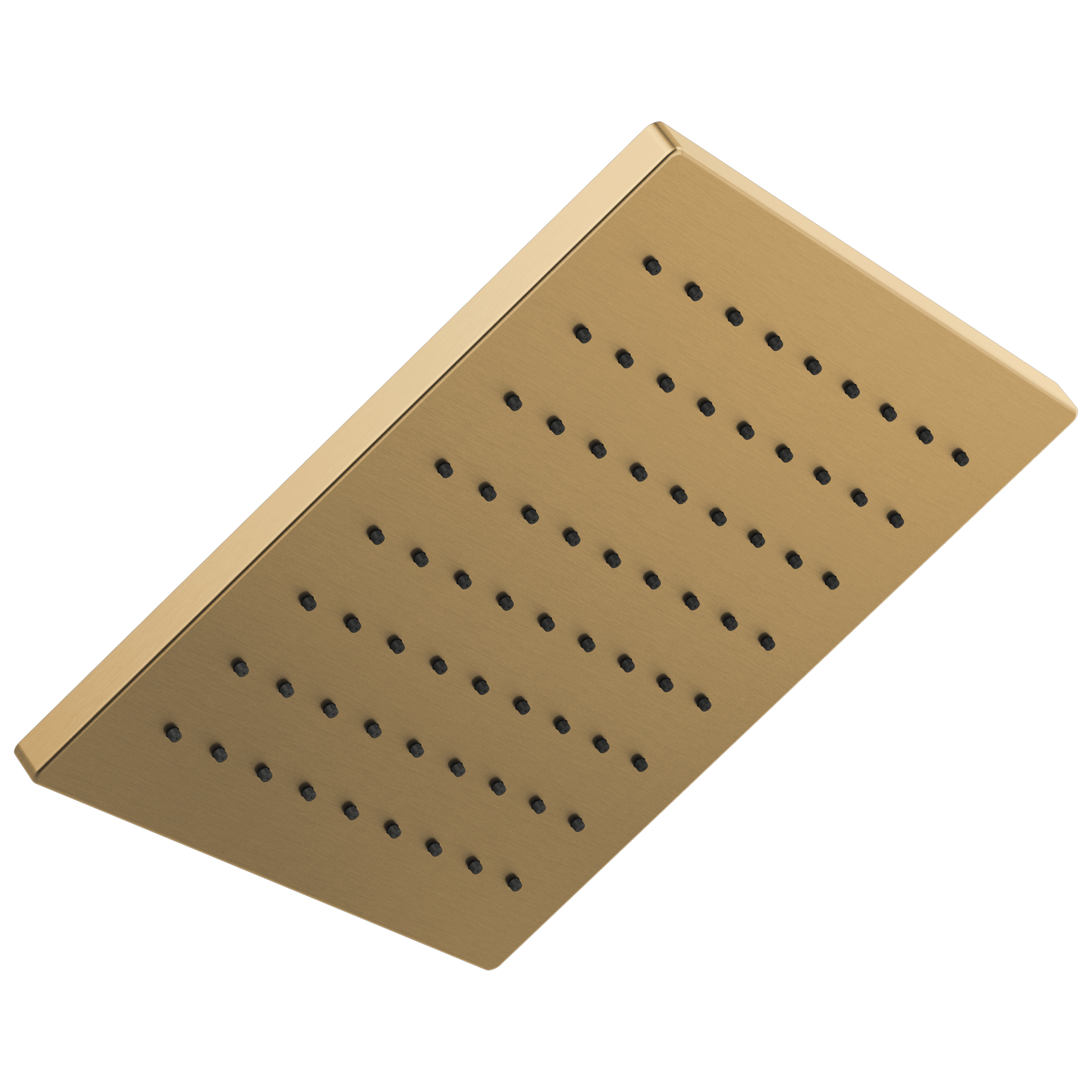 Single-Setting Metal Raincan Shower Head in Champagne Bronze 52159