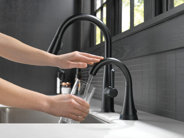 Single Handle Pull-Down Kitchen Faucet with Touch2O® Technology