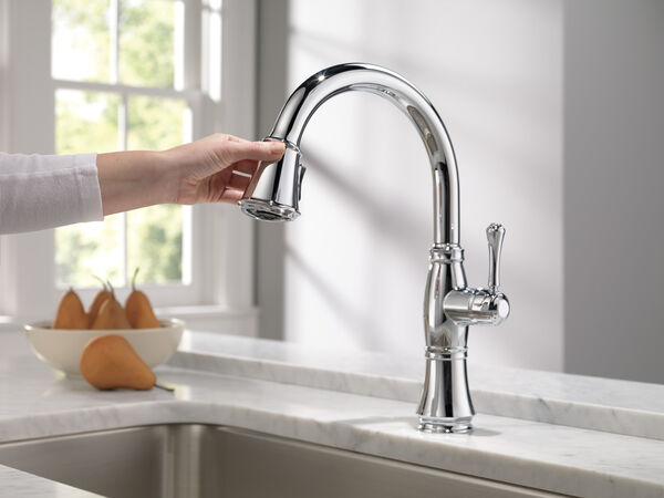 Single Handle Pull-Down Kitchen Faucet with ShieldSpray® Technology in  Chrome 9197-DST Delta Faucet