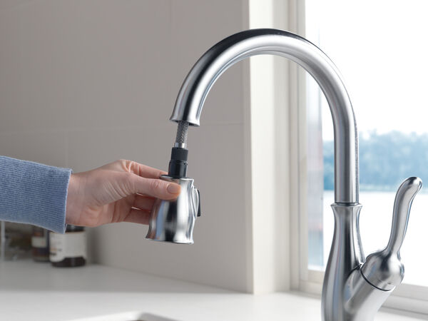 Single Handle Pull-Down Kitchen Faucet with ShieldSpray ...
