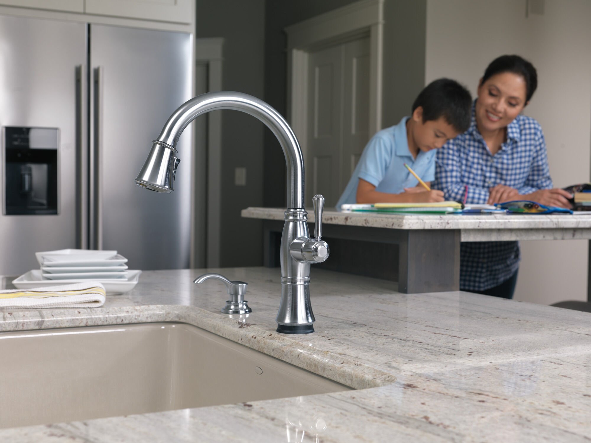 Soap / Lotion Dispenser in Arctic Stainless RP71543AR | Delta Faucet