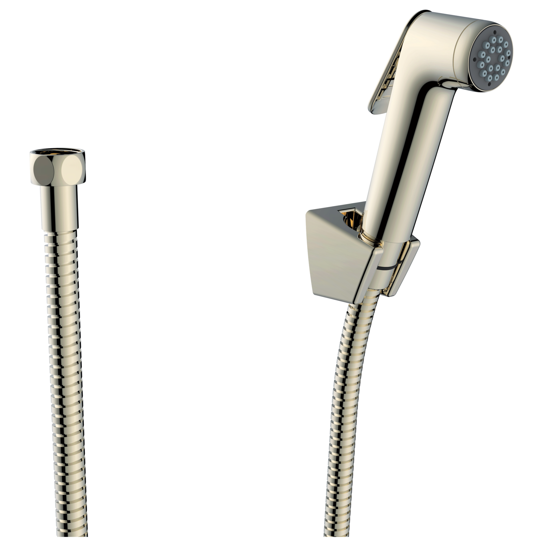 Modern Contemporary Bidet Spray in Polished Nickel 22901IPN Delta