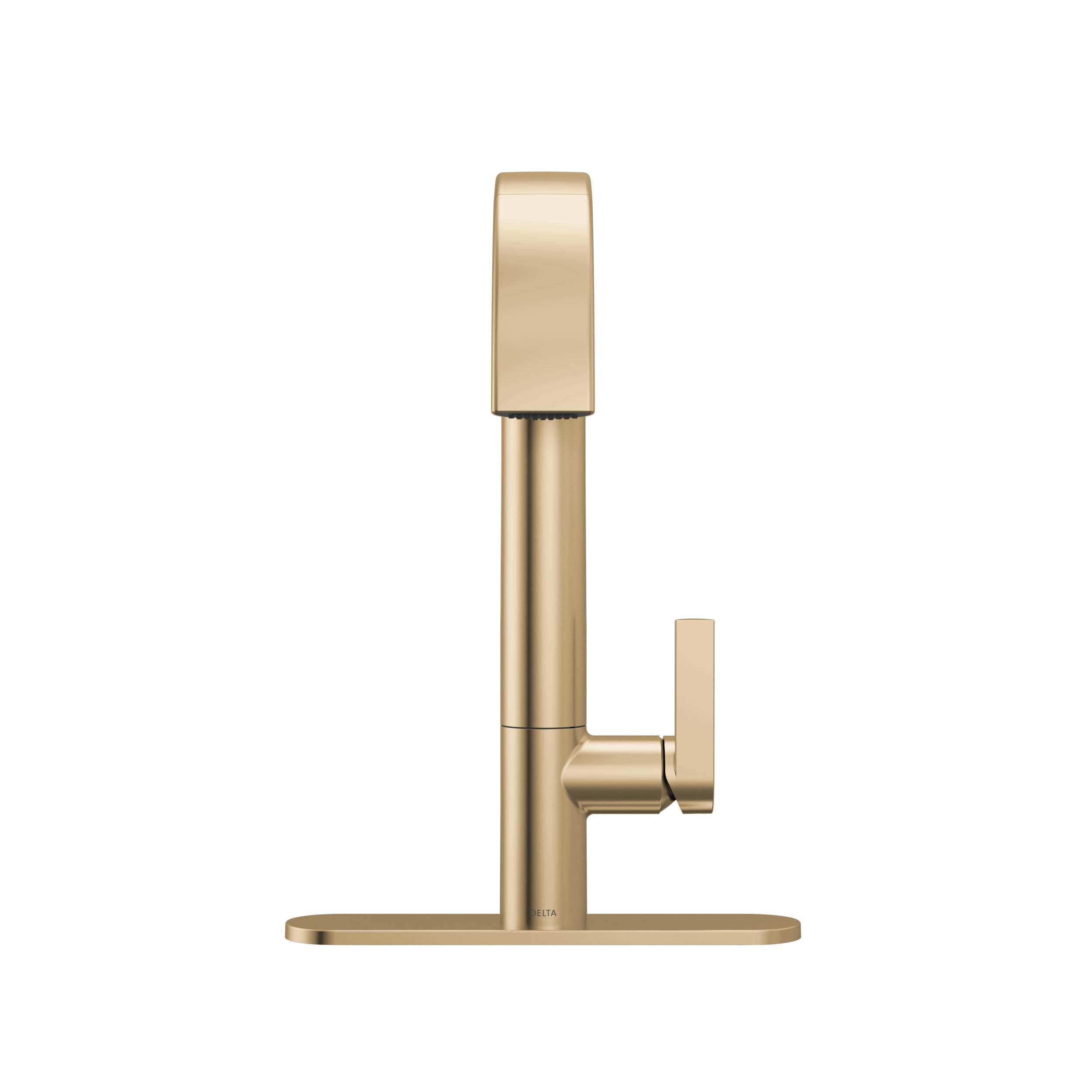 Single Handle Pull-Down Kitchen Faucet in Champagne Bronze 19824LF