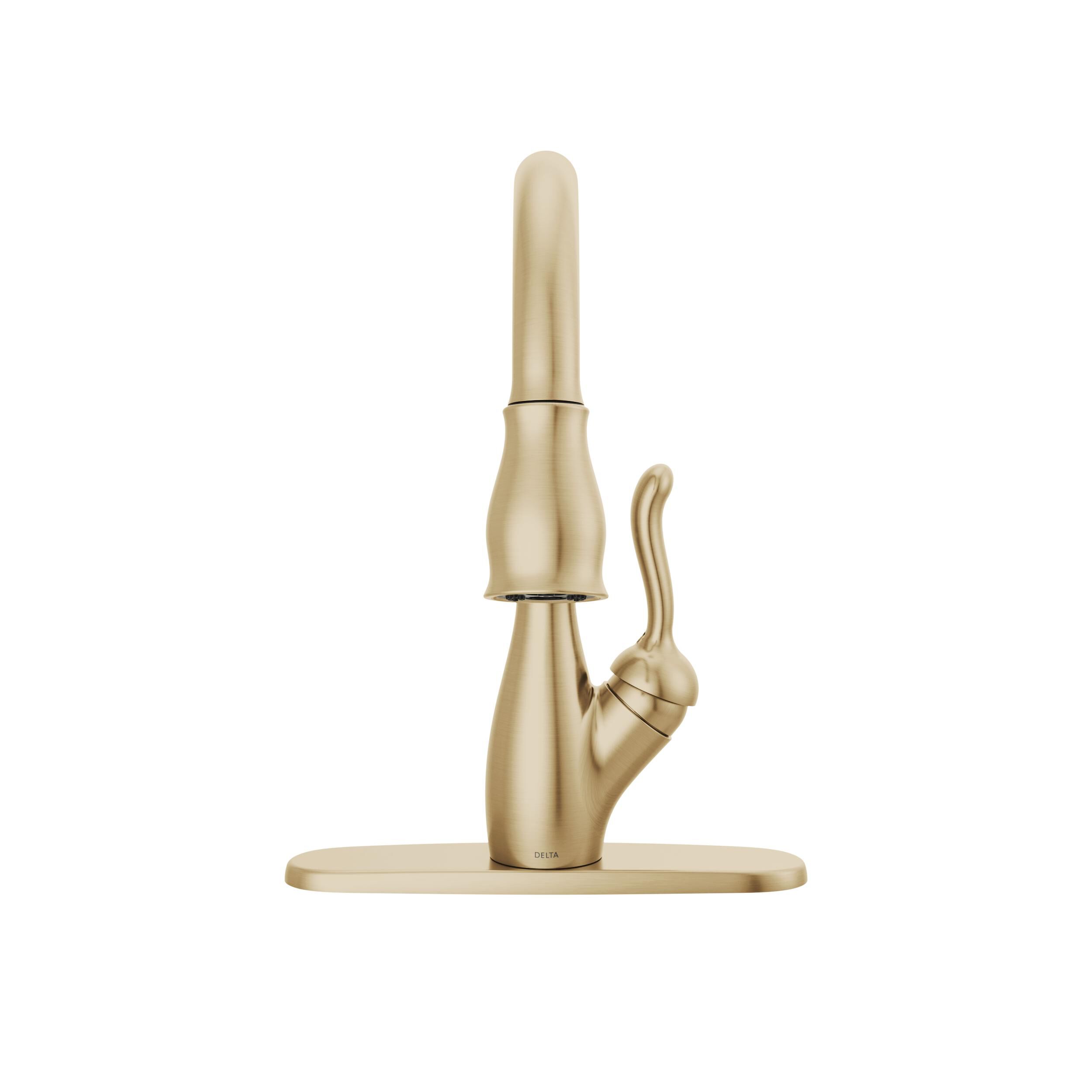 Pull-Down Kitchen with Soap Disp Bundle in Champagne Bronze FVS2