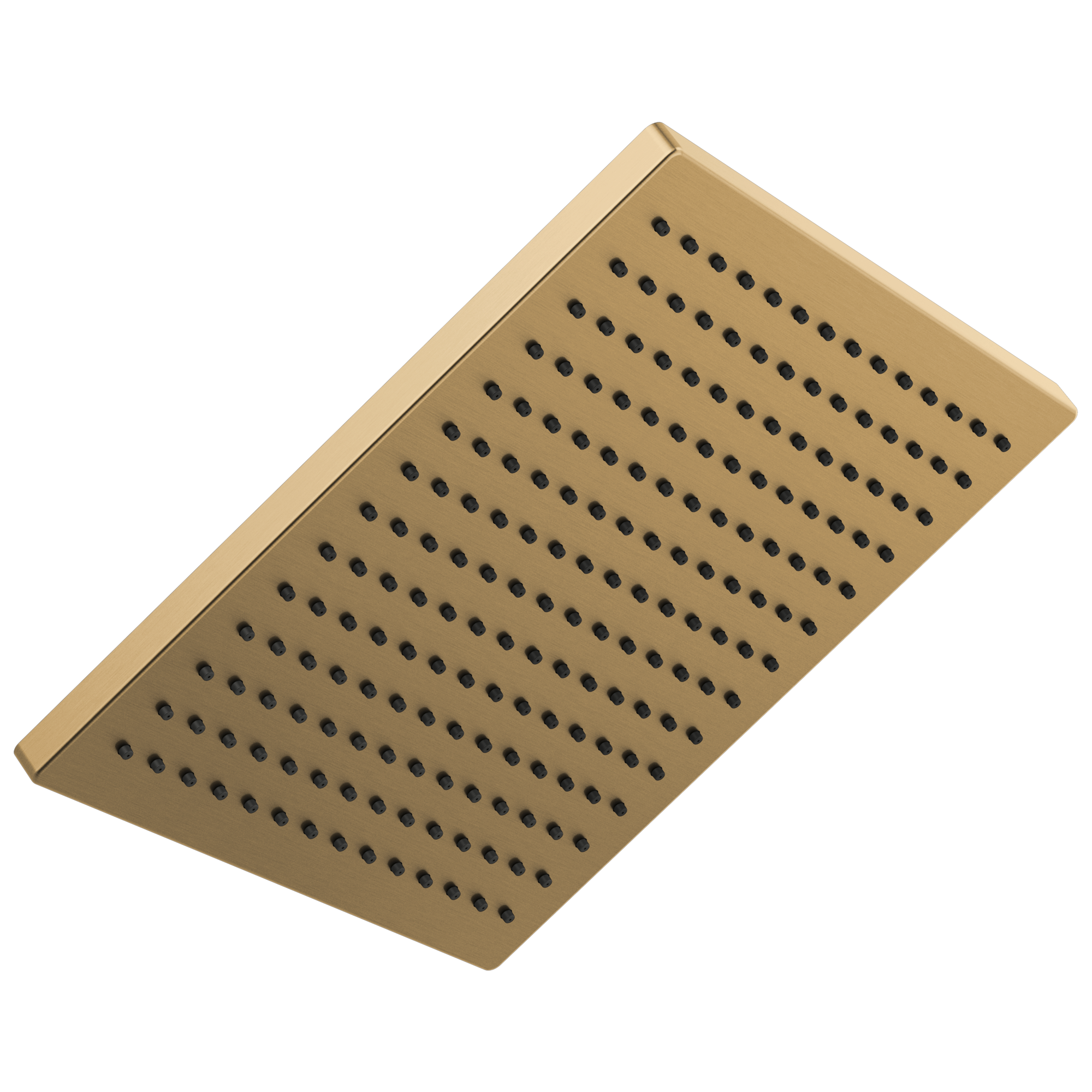 Delta Faucet Universal Showering Components Single-Setting Metal Raincan Shower Head - Lumicoat Champagne Bronze