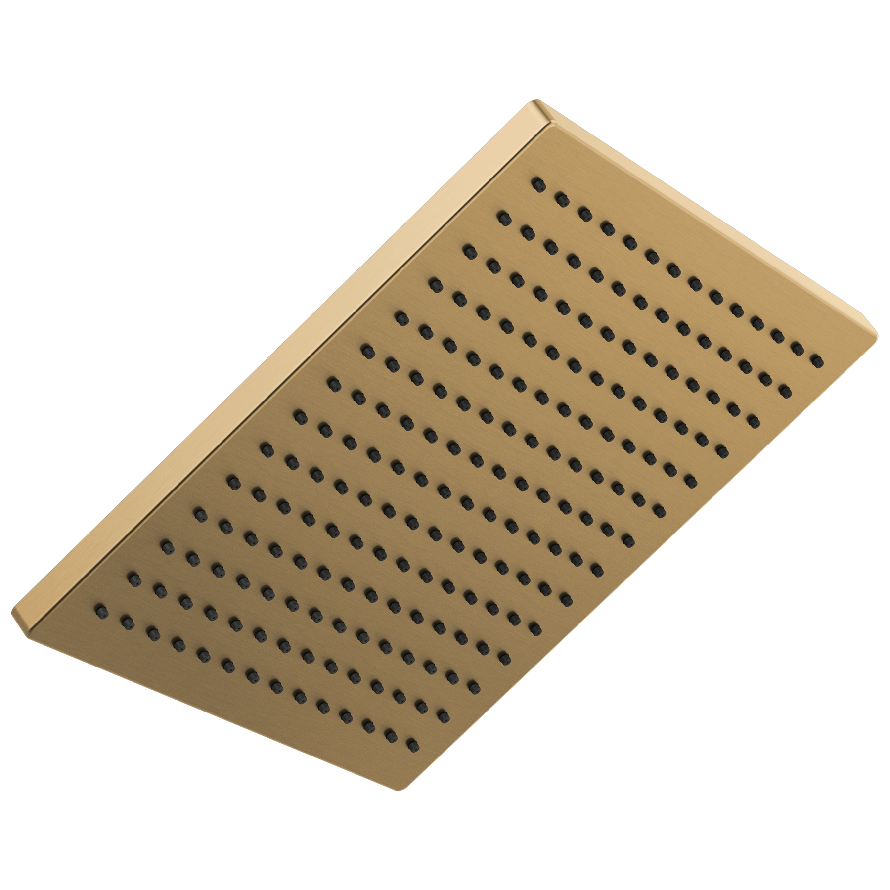 Single-Setting Metal Raincan Shower Head in Lumicoat® Champagne