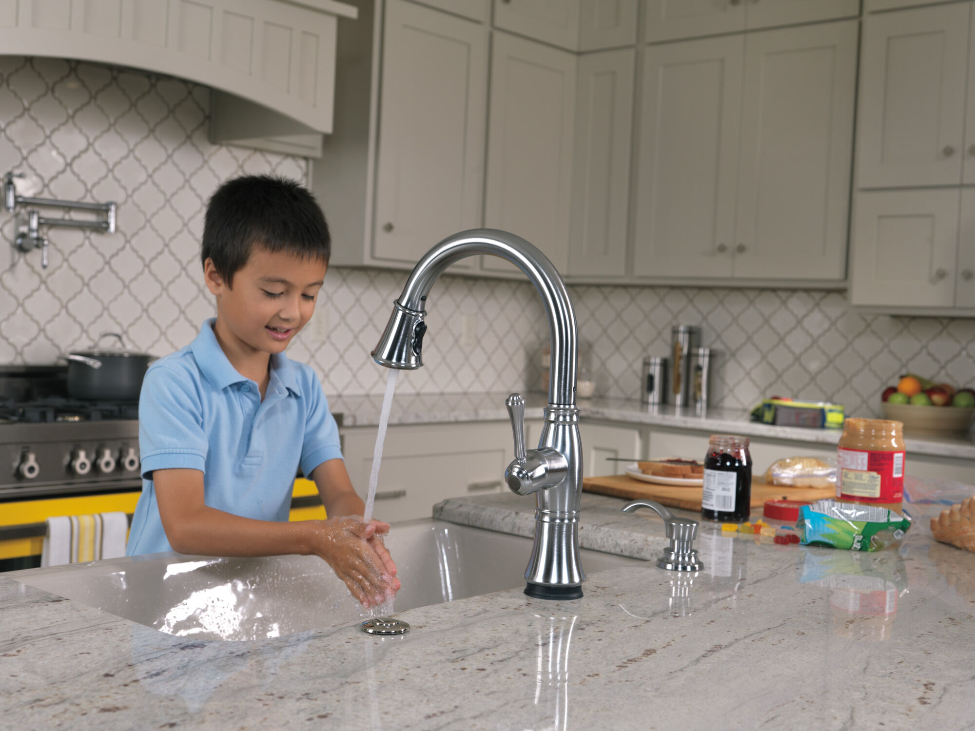 Soap / Lotion Dispenser in Arctic Stainless RP71543AR | Delta Faucet