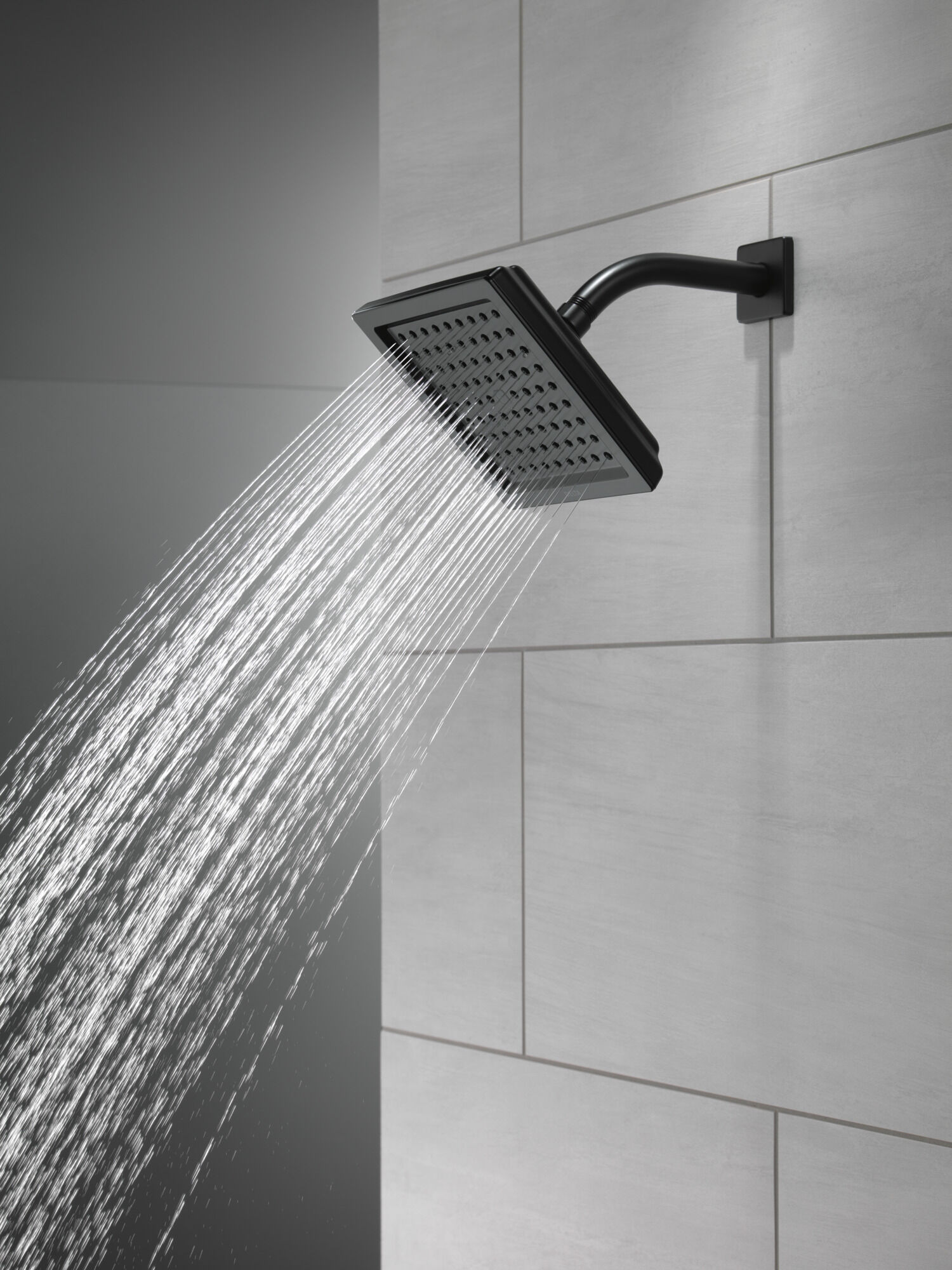 Single-Setting Raincan Shower Head in Matte Black RP62283BL