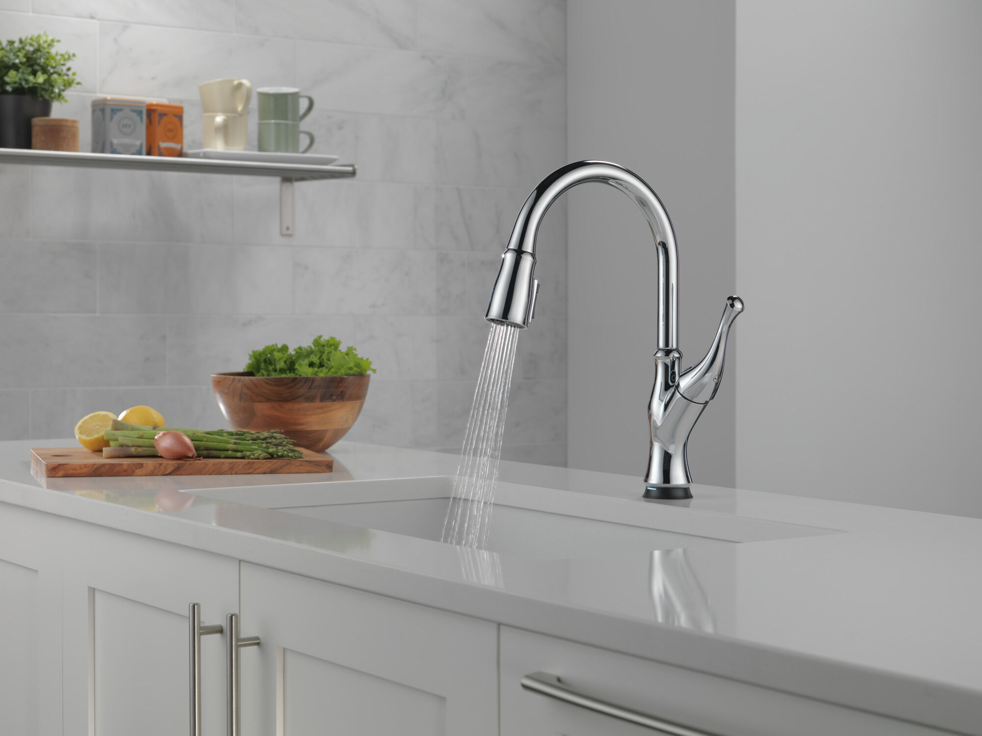 Single-Handle Pull-Down Kitchen Faucet with Touch2O® Technology