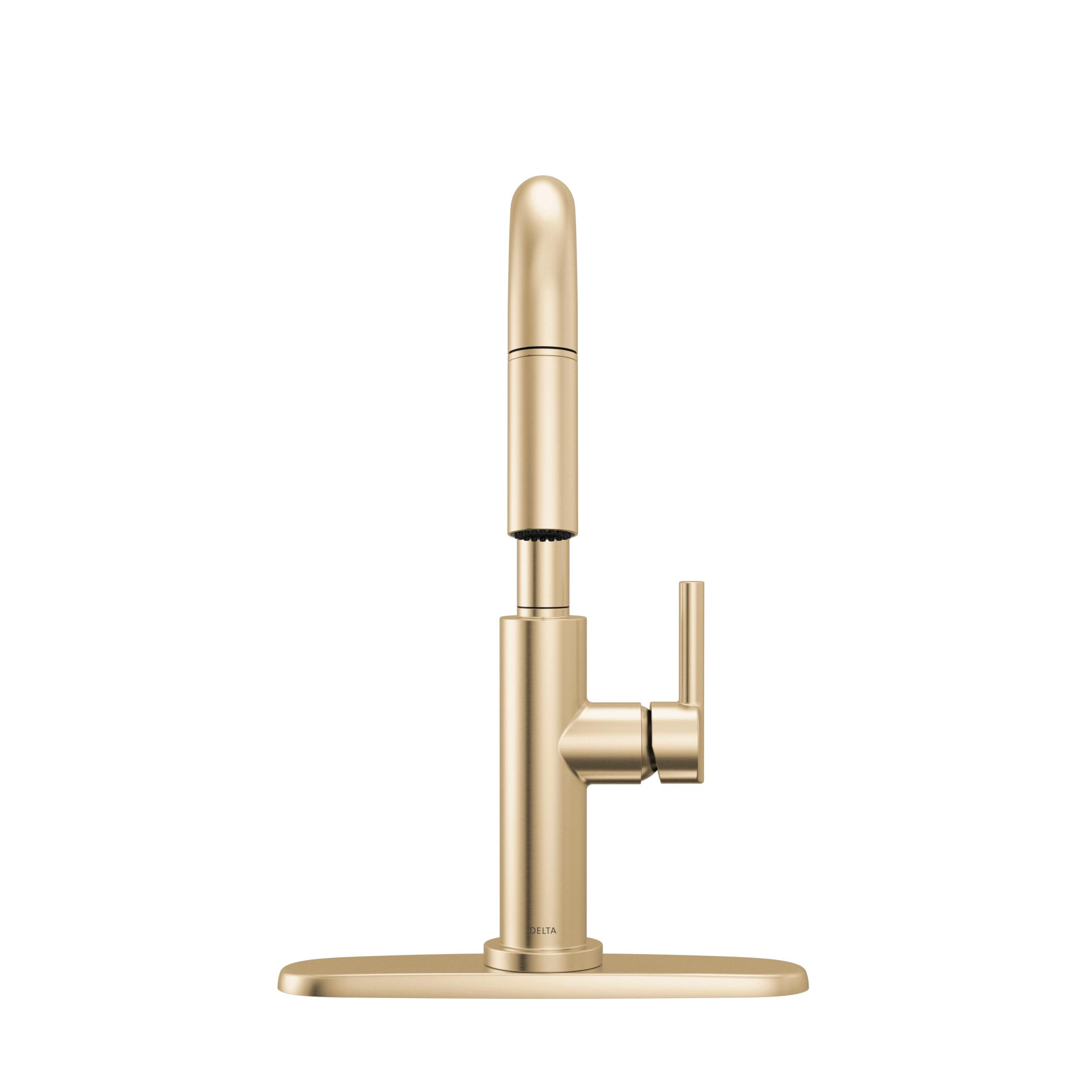 Single Handle Pull-Down Kitchen Faucet in Champagne Bronze 19868LF