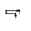 Contemporary Wall Mount Pot Filler