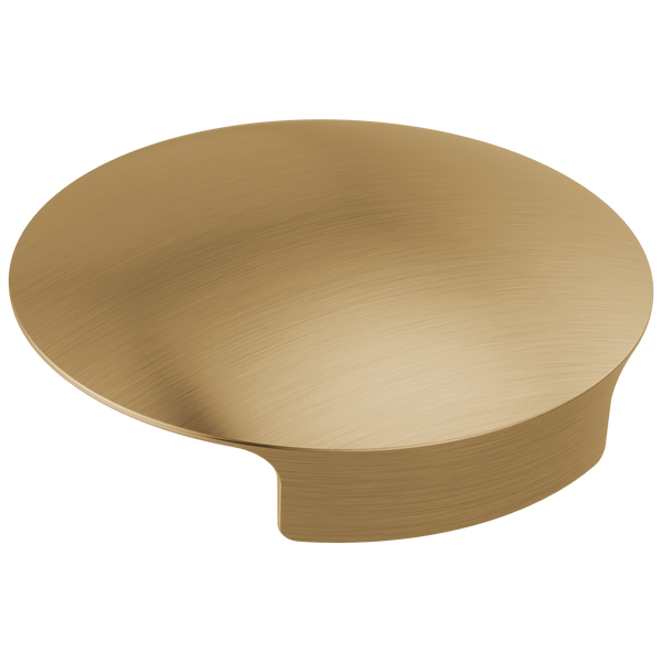 Glass Rinser Cover in Champagne Bronze RP101289CZ Delta Faucet