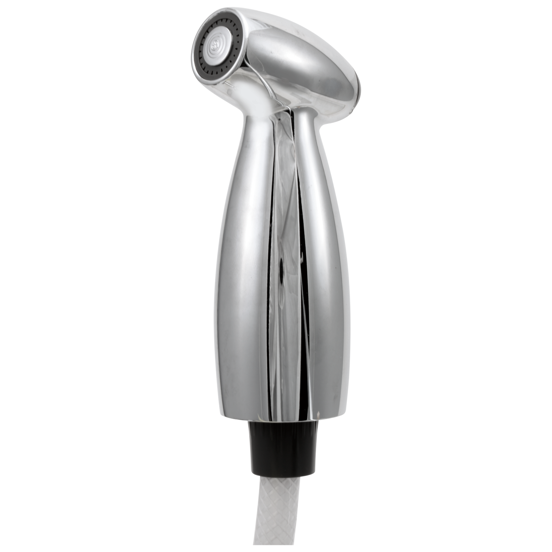 Spray & Hose Assembly w/ Spray Support in Chrome RP40384 Delta Faucet