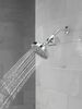 Standard Shower Filter with Shower Head Bundle