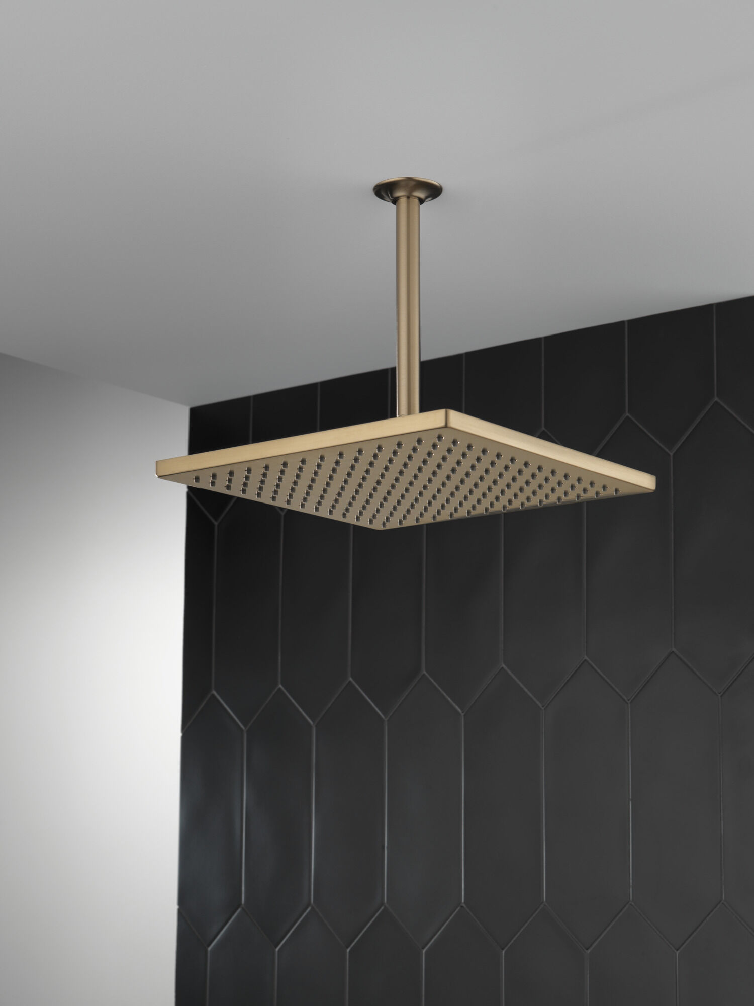 Single-Setting Metal Raincan Shower Head in Lumicoat® Champagne