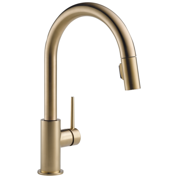 Single Handle Pull-Down Kitchen Faucet (Recertified) in Champagne