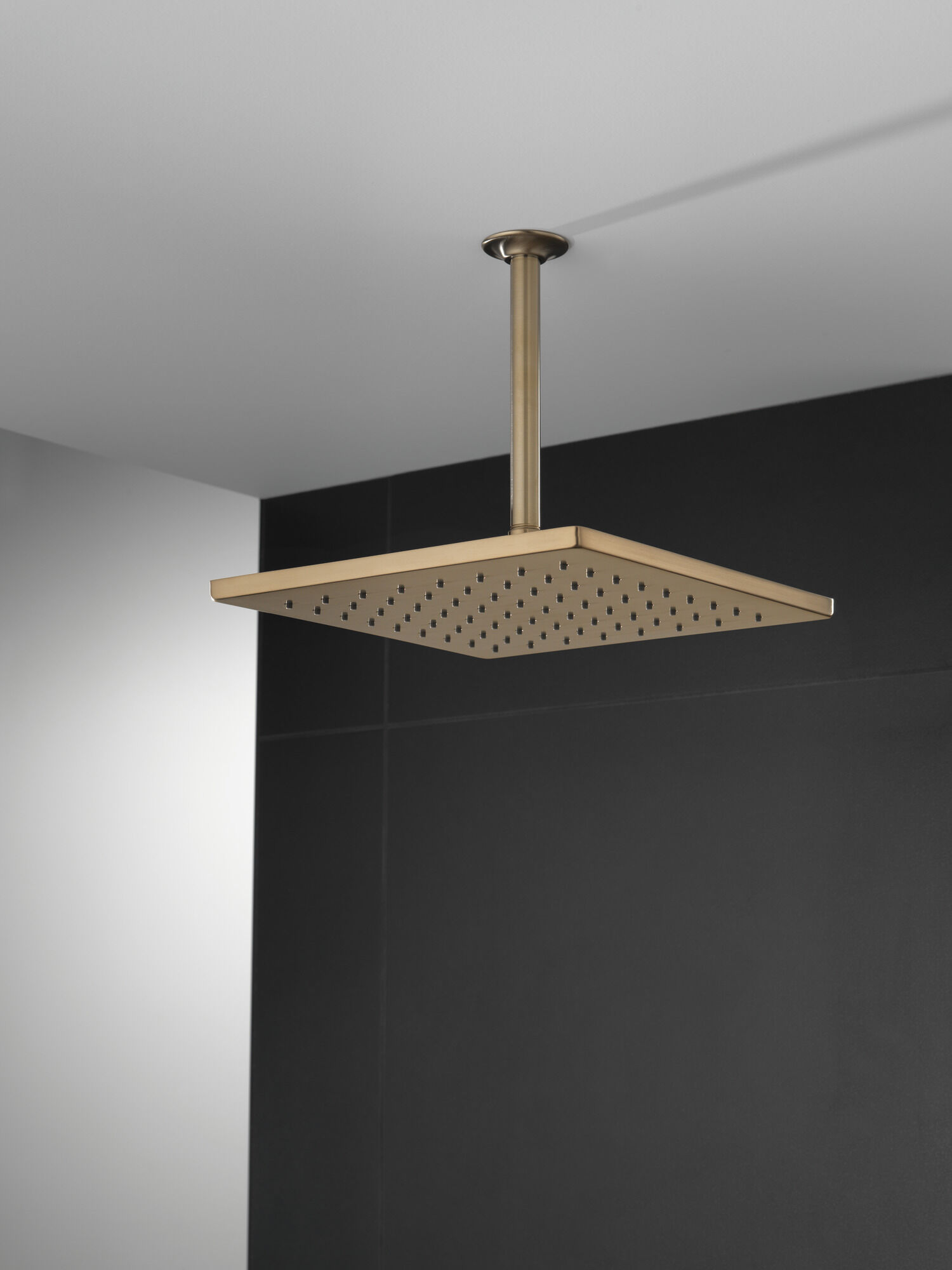 Single-Setting Metal Raincan Shower Head in Champagne Bronze 52159