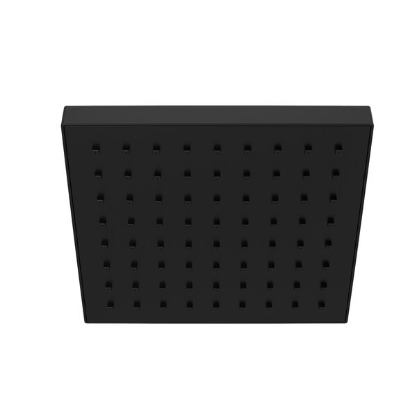 Raincan Single Setting Showerhead