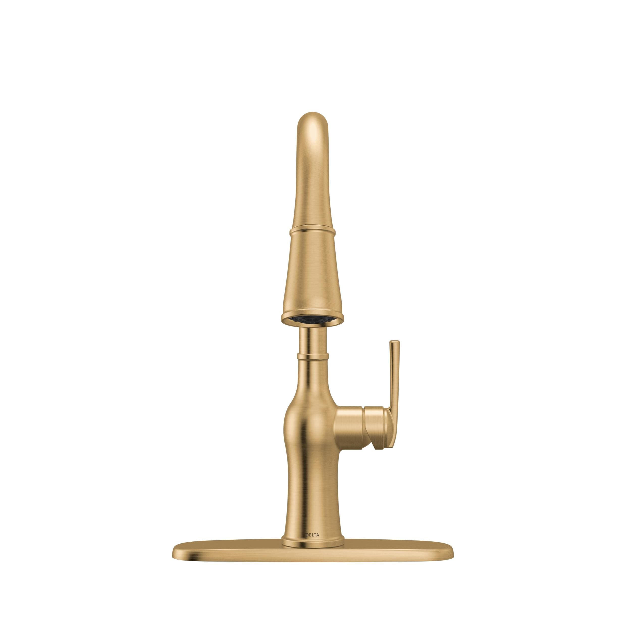 Single Handle Pull-Down Kitchen Faucet in Champagne Bronze 19733LF