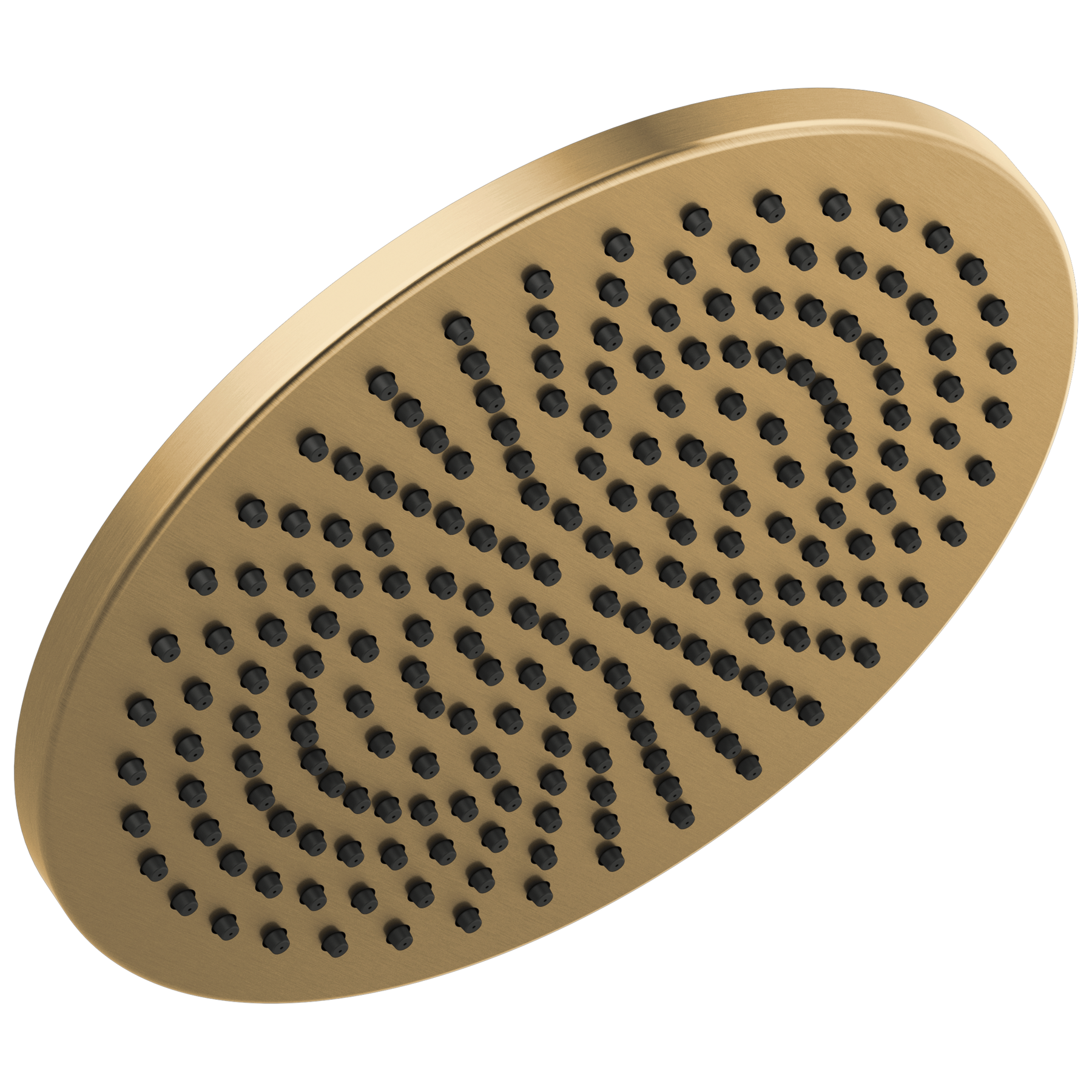 Single-Setting Metal Raincan Shower Head in Champagne Bronze 52158