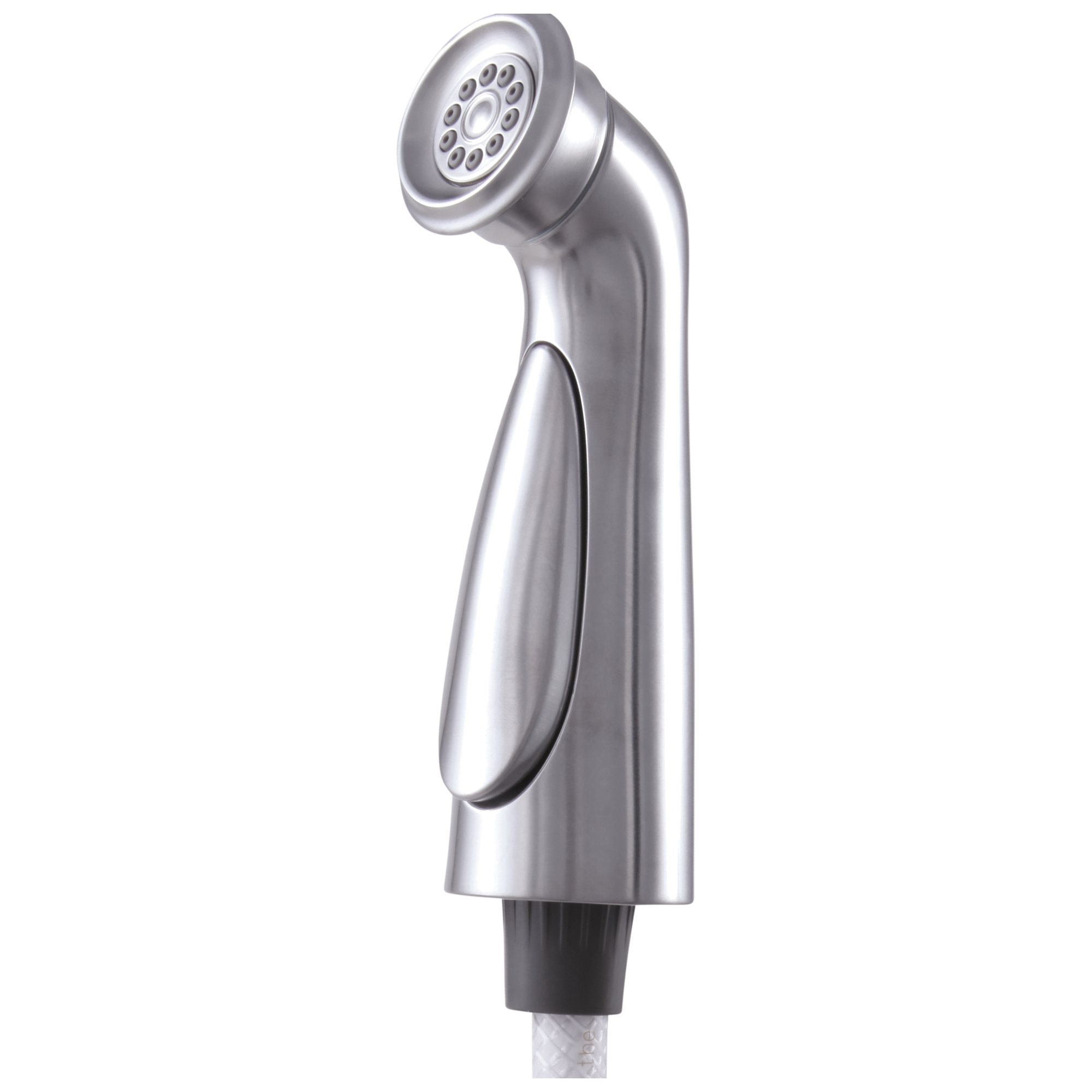 Delta Faucet CassidyE Side Spray & Hose Assembly - Arctic Stainless