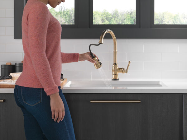 Single Handle Pull-Down Kitchen Faucet With Touch2O Technology