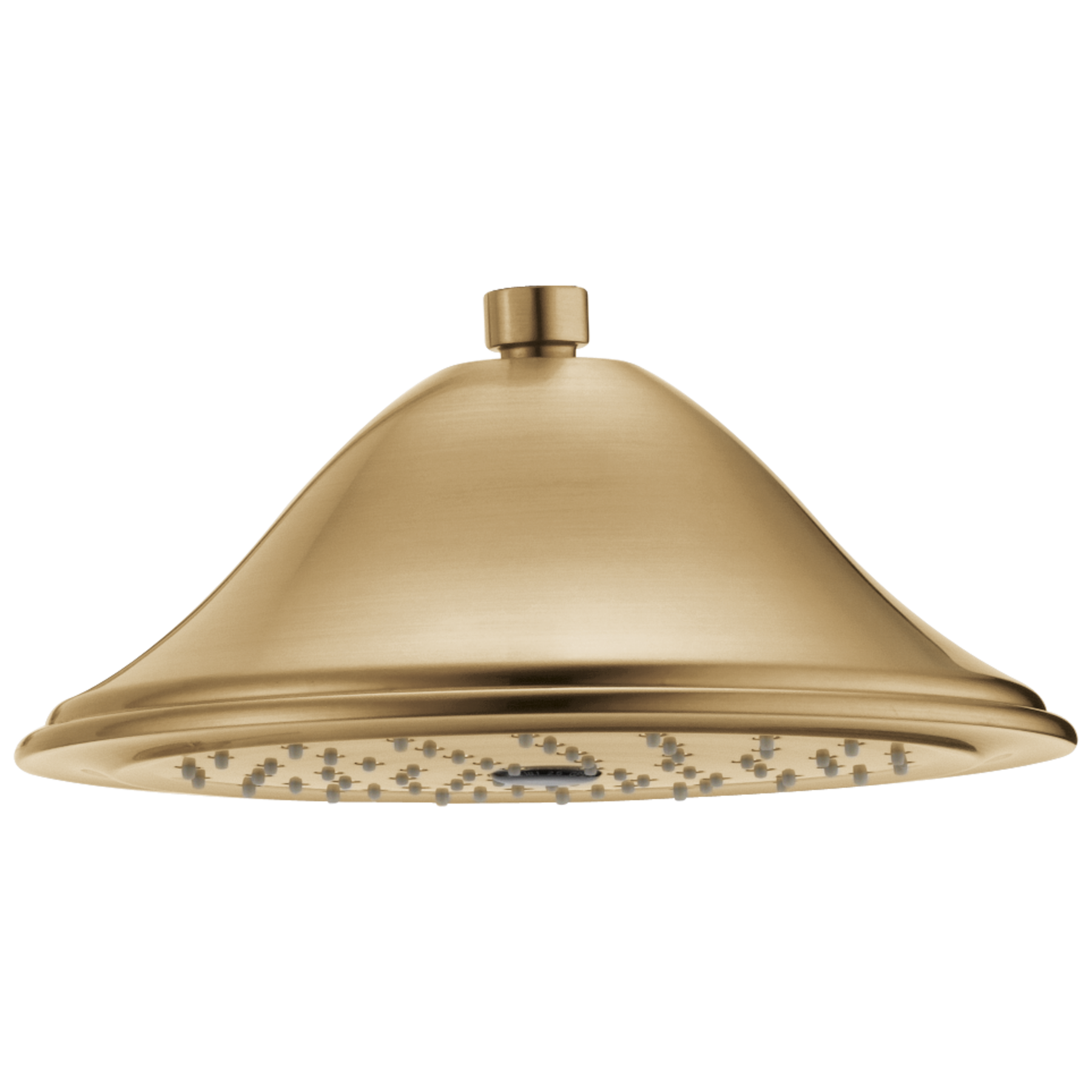 Single-Setting Raincan Shower Head in Champagne Bronze RP72568CZ