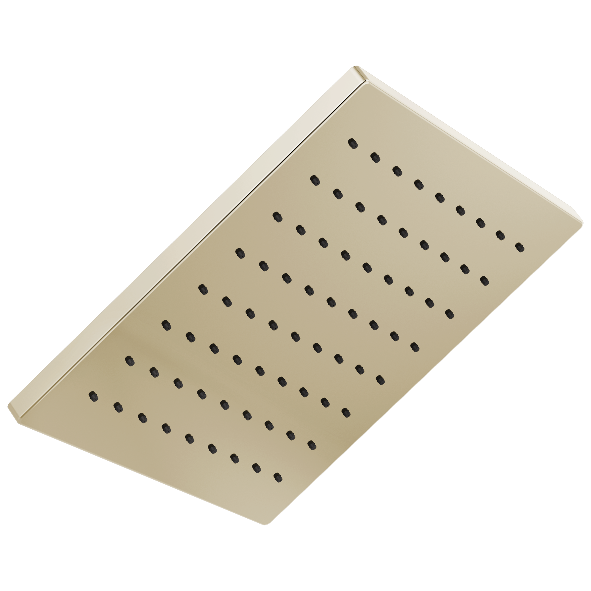 Delta Faucet Universal Showering Components Single-Setting Metal Raincan Shower Head - Lumicoat Polished Nickel