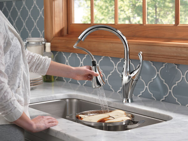 Single Handle Pull-Down Kitchen Faucet with ShieldSpray® Technology in  Chrome 9192-DST Delta Faucet