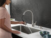 Single Handle Pull-Down Kitchen Faucet with ShieldSpray