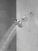 Standard Shower Filter with Shower Head Bundle