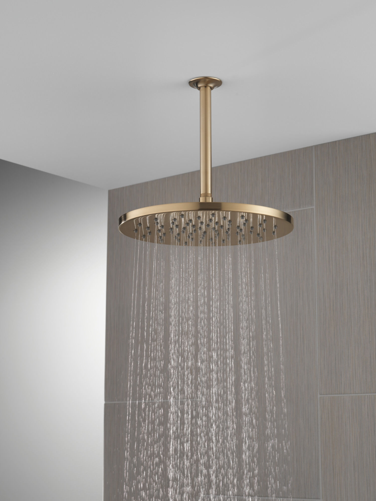 Single-Setting Metal Raincan Shower Head in Lumicoat® Champagne