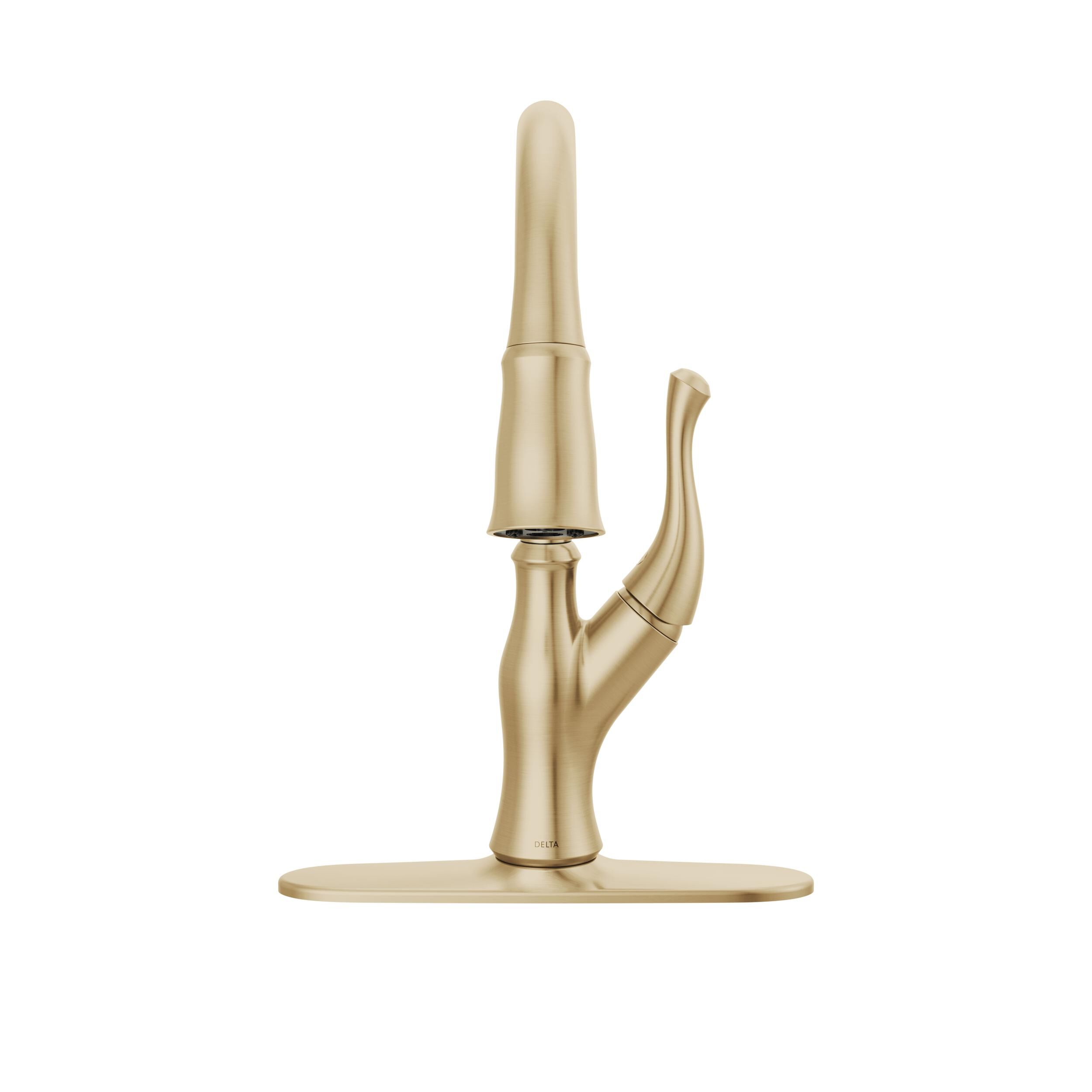 Single-Handle Pull-Down Kitchen Faucet in Champagne Bronze 19888Z