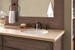 Aazon.co: Delta Faucet Trinsic Towel Ring, SpotShield Venetian Bronze , Bathroo Accessories