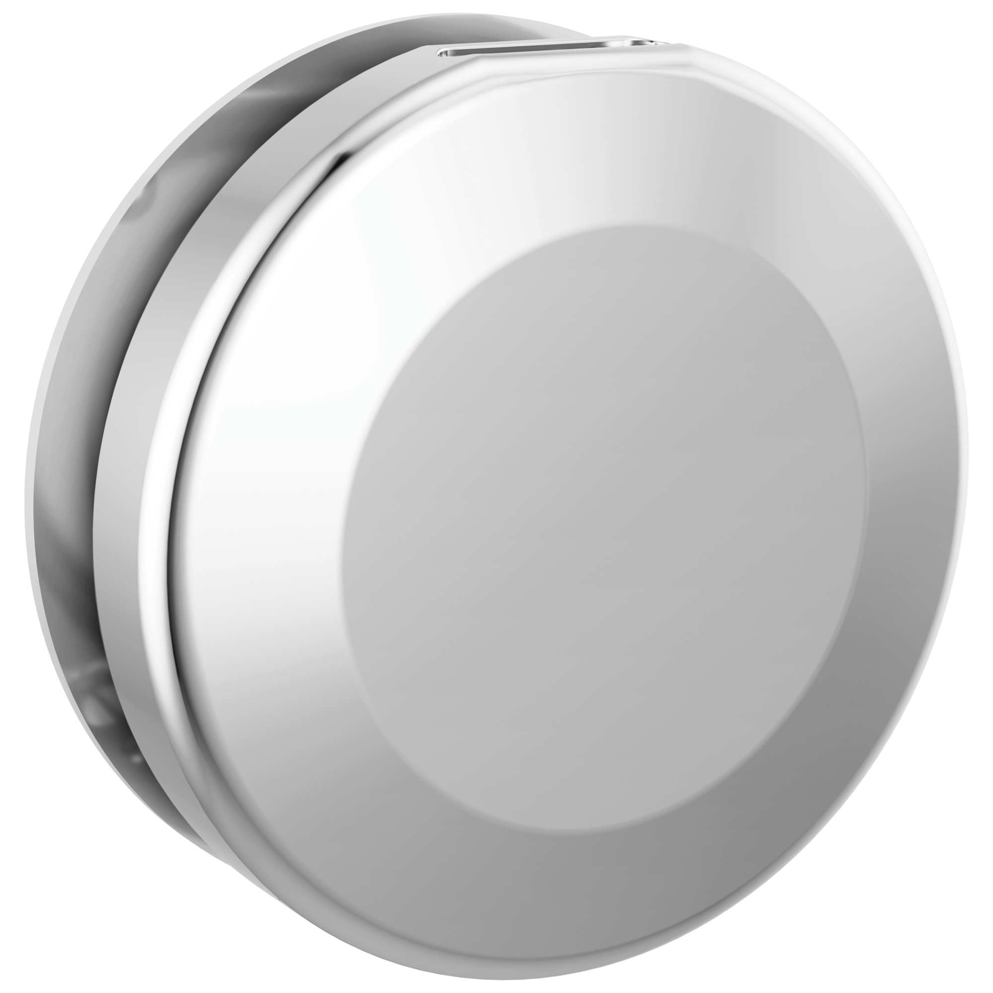 Delta Faucet Universal Showering Components Round Steam Head - Lumicoat Chrome