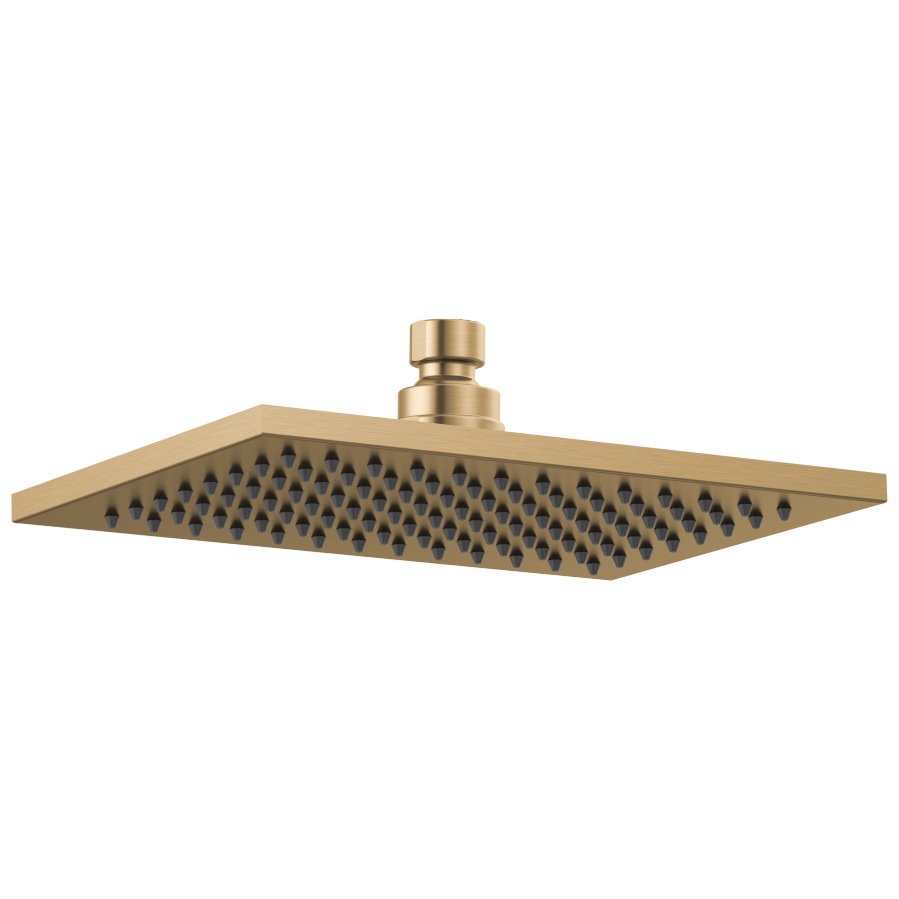 Single-Setting Raincan Shower Head in Lumicoat® Champagne Bronze