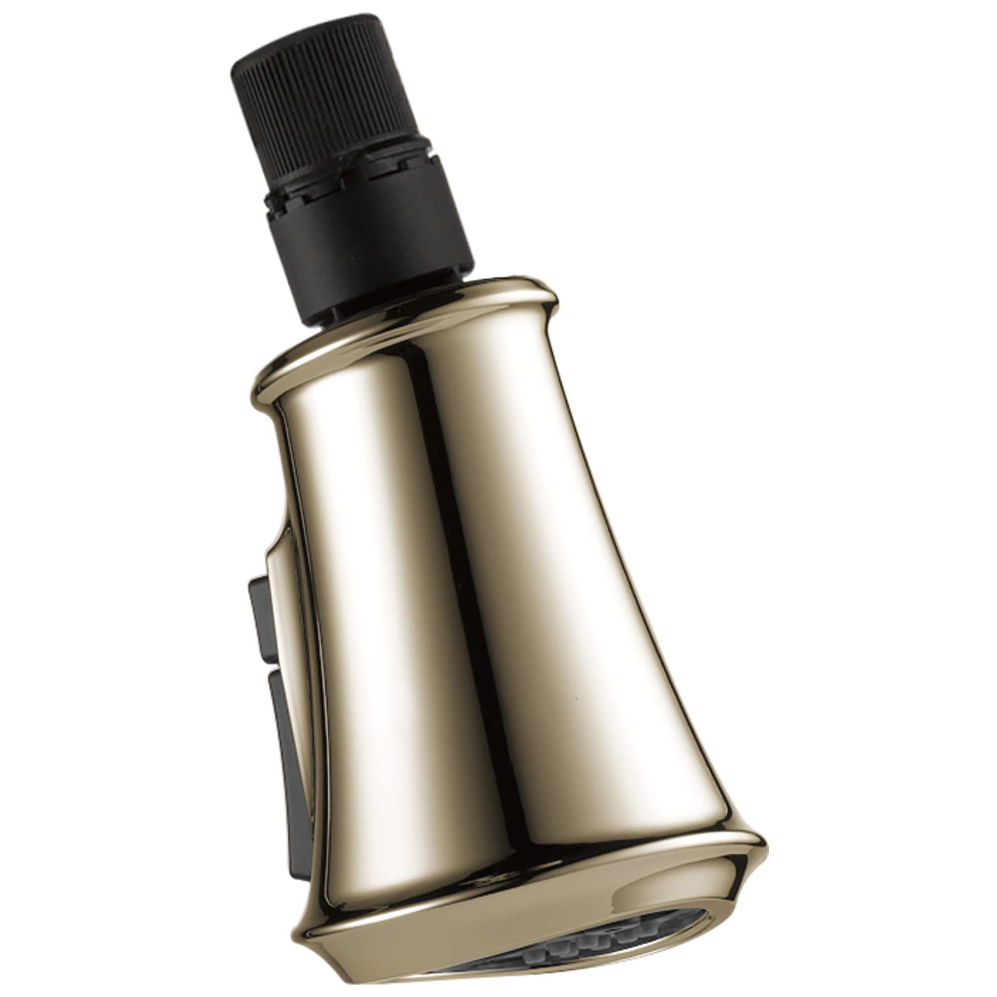 Delta Faucet Cassidy™ Wand Assembly in Lumicoat Polished Nickel
