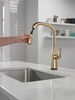 Single Handle Pull-Down Kitchen Faucet with Touch<sub>2</sub>O&reg; Technology