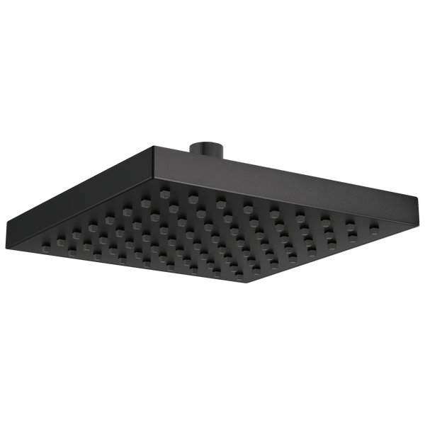 Raincan Single Setting Showerhead