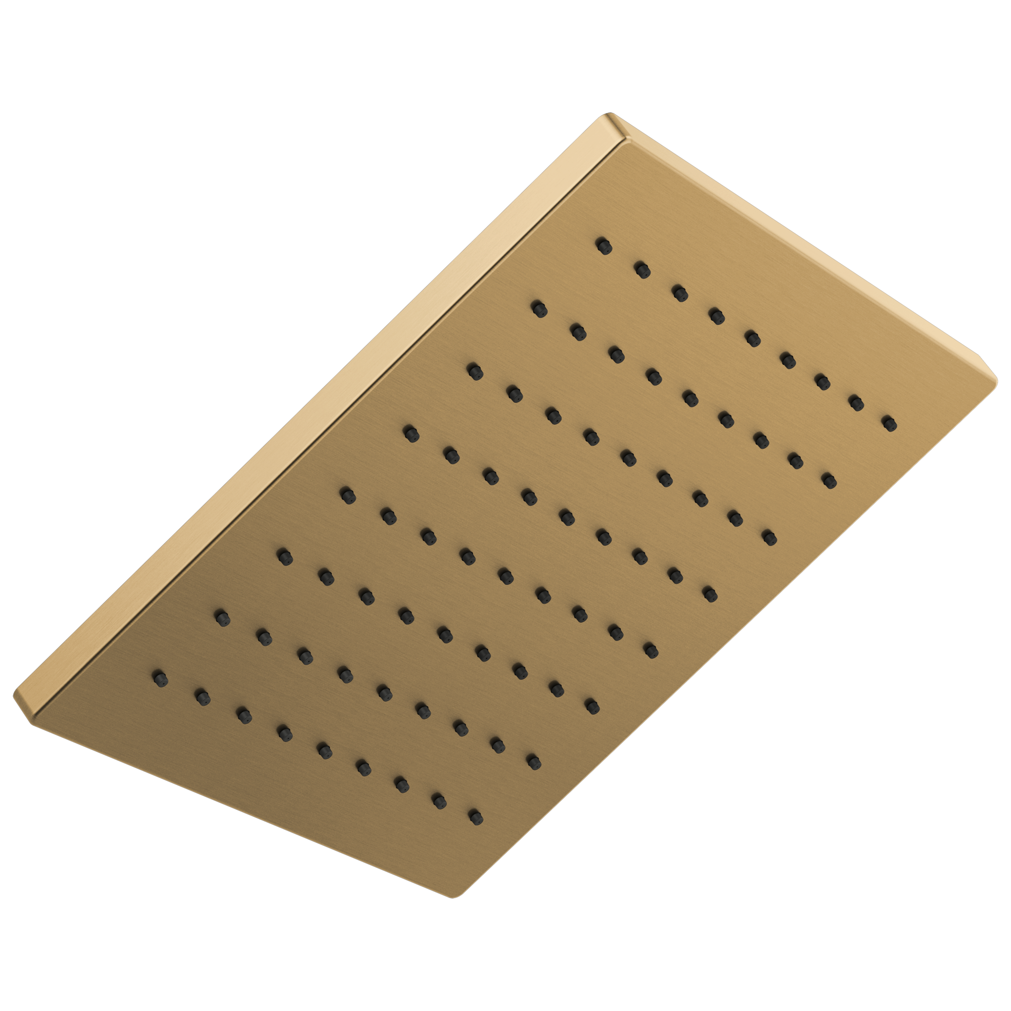 Delta Faucet Universal Showering Components Single-Setting Metal Raincan Shower Head - Lumicoat Champagne Bronze