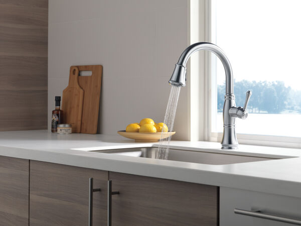Single Handle Pull-Down Kitchen Faucet with ShieldSpray® Technology in  Arctic Stainless 9197-AR-DST Delta Faucet