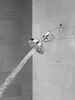 Standard Shower Filter with Shower Head Bundle