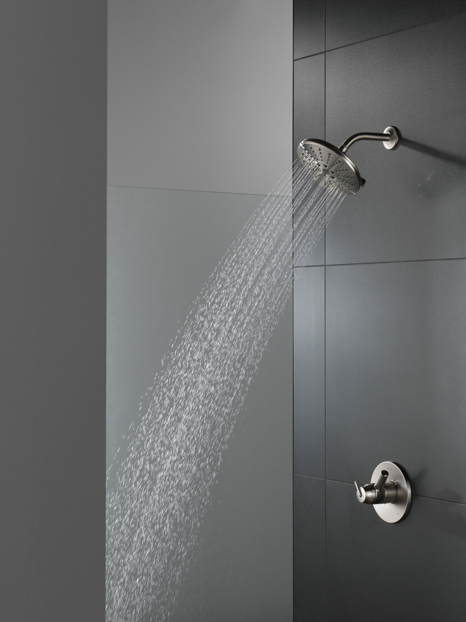 Stainless Delta Universal Showering 3-Setting Raincan Shower Head 