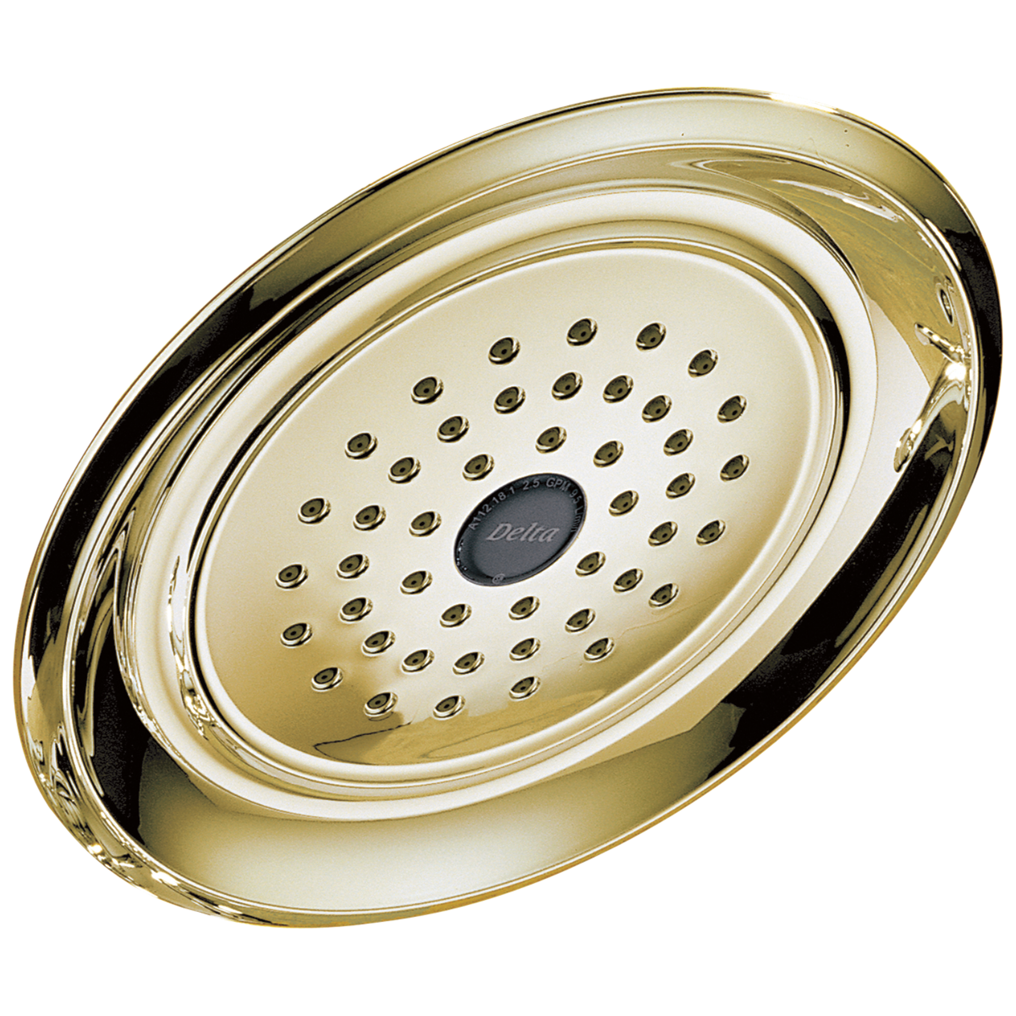 Delta Faucet Universal Showering Components Single-Setting Raincan Shower Head - Polished Brass