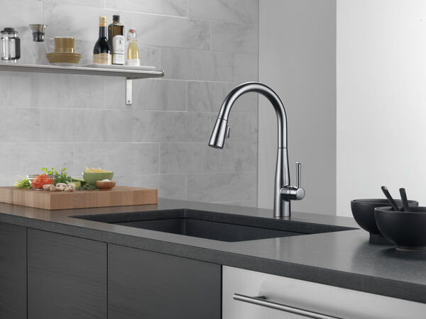 Single Handle Pull-Down Kitchen Faucet in Arctic Stainless ...