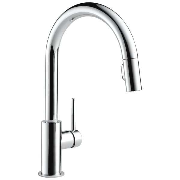 Single Handle Pull-Down Kitchen Faucet in Chrome 9159-DST ...